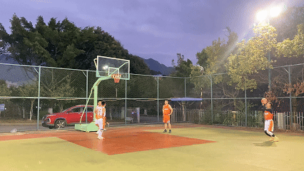 8.gif